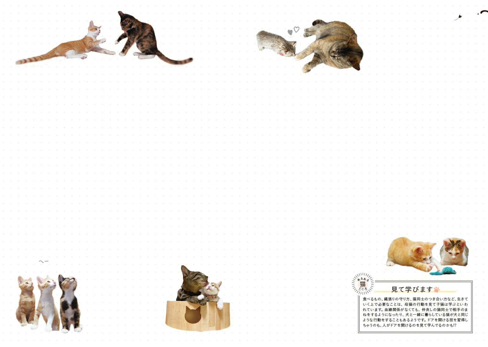 楽天ブックス にゃんこのぷにぷに肉球手帳 22 フェリシモ猫部 本 楽天ブックス にゃんこのぷにぷに肉球手帳 22 フェリシモ猫部 本